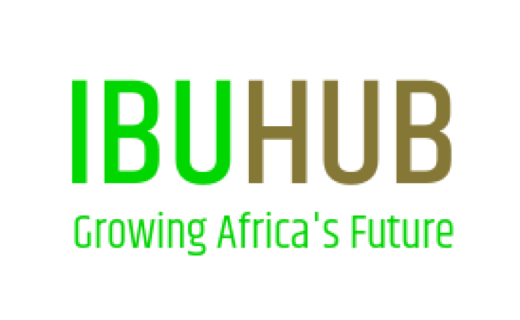 Ibuhub Zimbabwe Logo